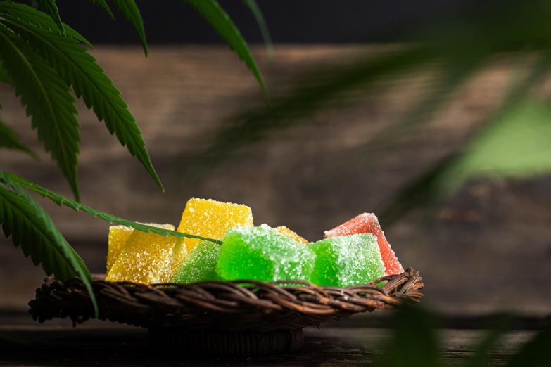 Factors Contributing to the Popularity of Binoid's Delta 9 THC Gummies -  Pro Cannabis Services - CBD Advice & tips